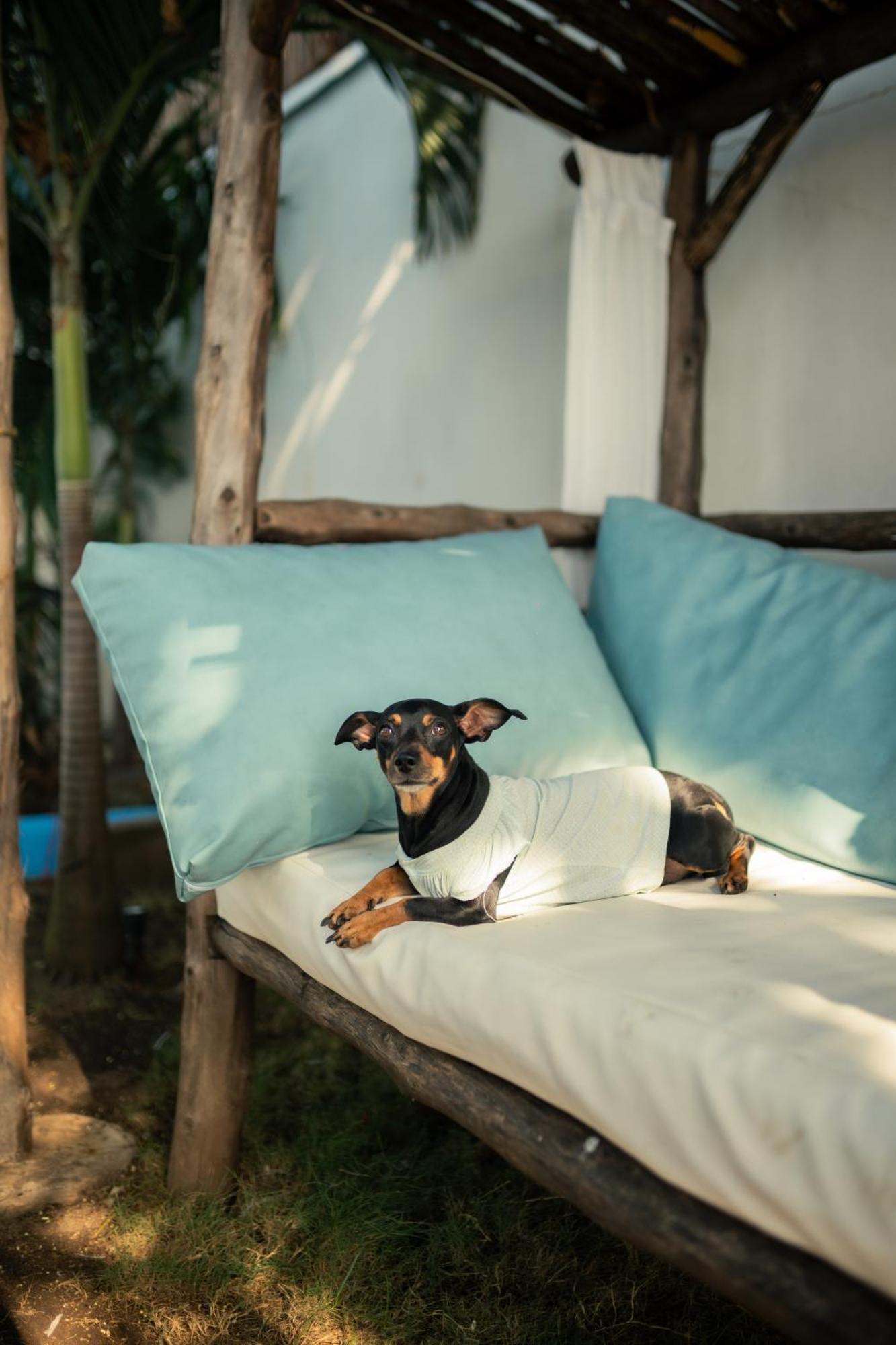 Jakes On The Beach Las Penitas Luaran gambar